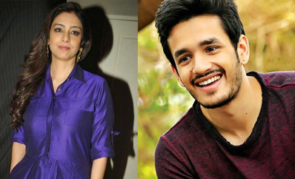 akhil akkineni,tabu,nagarjuna,tabu in akhil movie,sisindri movie  అఖిల్‌ కోసం ఆమెను దింపుతున్నాడు..! 